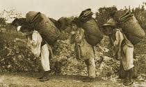 Trabajadores